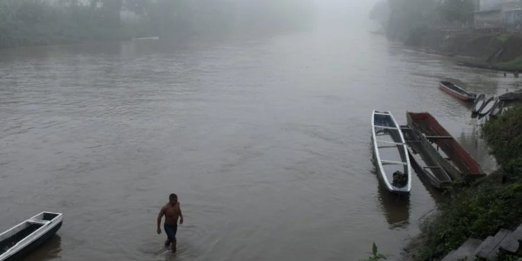 Alldaynews.gr Έζησε για 41 χρόνια στη ζούγκλα και πέθανε από καρκίνο – Το άδοξο τέλος του «σύγχρονου Ταρζάν»