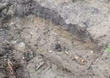 Ανάγκασε διεστραμμένο φίλο του που βίασε την 6χρονη κόρη του να σκάψει τον τάφο του και τον έθαψε