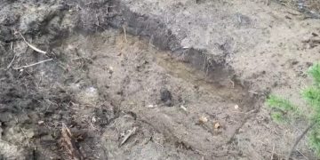 Ανάγκασε διεστραμμένο φίλο του που βίασε την 6χρονη κόρη του να σκάψει τον τάφο του και τον έθαψε