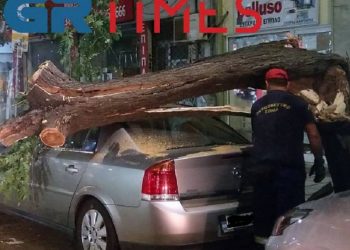 Δέντρο έπεσε σε ΙΧ στο κέντρο της Θεσσαλονίκης – Λαχτάρισε ο ιδιοκτήτης του (φωτο, vid)
