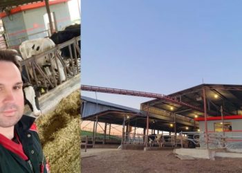 Ο 33χρονος Θωμάς Νότας έφτιαξε μια «ρομποτική φάρμα» – Οι αγελάδες πηγαίνουν μόνες τους για άρμεγμα