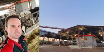 Ο 33χρονος Θωμάς Νότας έφτιαξε μια «ρομποτική φάρμα» – Οι αγελάδες πηγαίνουν μόνες τους για άρμεγμα