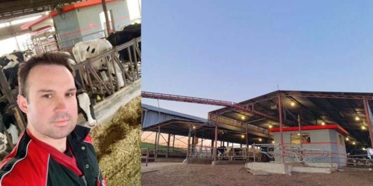 Ο 33χρονος Θωμάς Νότας έφτιαξε μια «ρομποτική φάρμα» – Οι αγελάδες πηγαίνουν μόνες τους για άρμεγμα