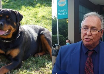 “Απαράδεκτη η απόφαση”, λέει ο ιδιοκτήτης του ροτβάιλερ μετά την καταδίκη του για τον θάνατο του 5χρονου (video)