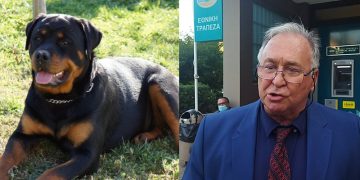 Alldaynews.gr “Απαράδεκτη η απόφαση”, λέει ο ιδιοκτήτης του ροτβάιλερ μετά την καταδίκη του για τον θάνατο του 5χρονου (video)