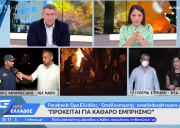 Διοικητής Πυροσβεστικής Υπηρεσίας Δυτικής Αττικής: «Πρόκειται για ξεκάθαρο εμπρησμό» (vid)