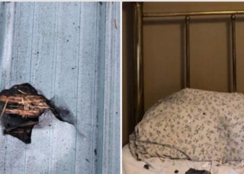 Παραλίγο να την πετύχει μετεωρίτης στο κεφάλι… ενώ κοιμόταν