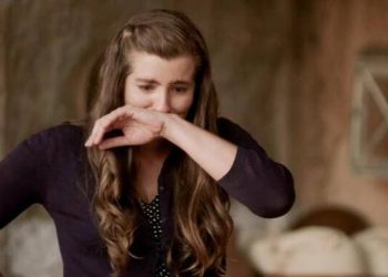 Άγριες Μέλισσες agries-melisses