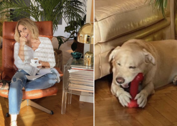 Σμαράγδα Καρύδη: Επική απάντηση για τη φωτό με τον σκύλο της και το “ερωτικό” βοήθημα (φωτο)