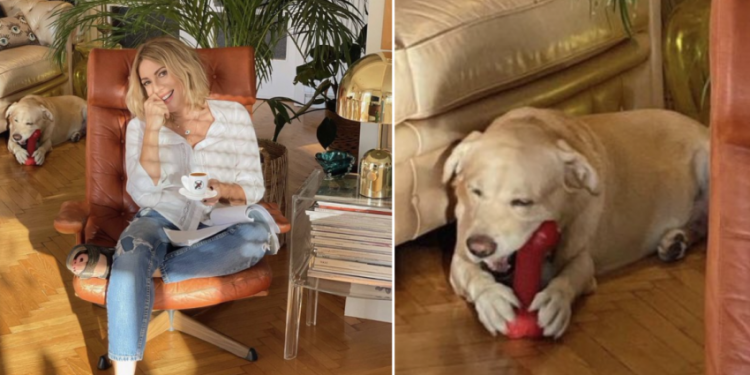 Alldaynews.gr Σμαράγδα Καρύδη: Επική απάντηση για τη φωτό με τον σκύλο της και το “ερωτικό” βοήθημα (φωτο)