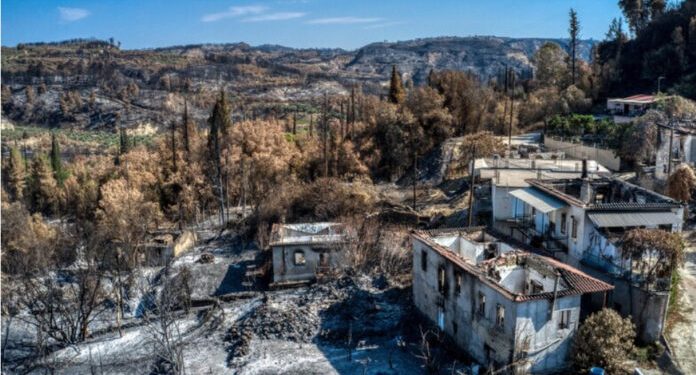 Alldaynews.gr πυρόπληκτοι Ηλείας