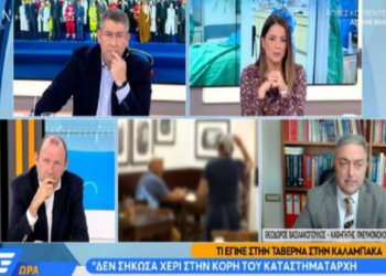 Βασιλακόπουλος: «Δεν σήκωσα χέρι στην κόρη του καταστηματάρχη – Δέχτηκα βία και απειλές» (video)