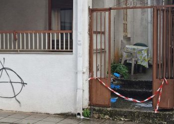 Alldaynews.gr αγρίνιο