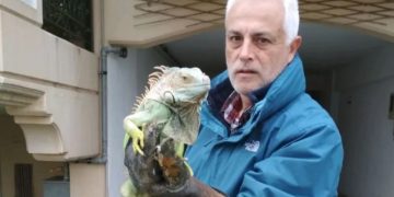 Λάρισα: Τεράστιο ιγκουάνα βρέθηκε δίπλα σε κάδο απορριμμάτων