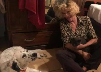 Alldaynews.gr Γείτονας Ολλανδής δημοσιογράφου: «Έχει δυο σκυλιά που τα βγάζουν βόλτα Πακιστανοί υπηρέτες της»