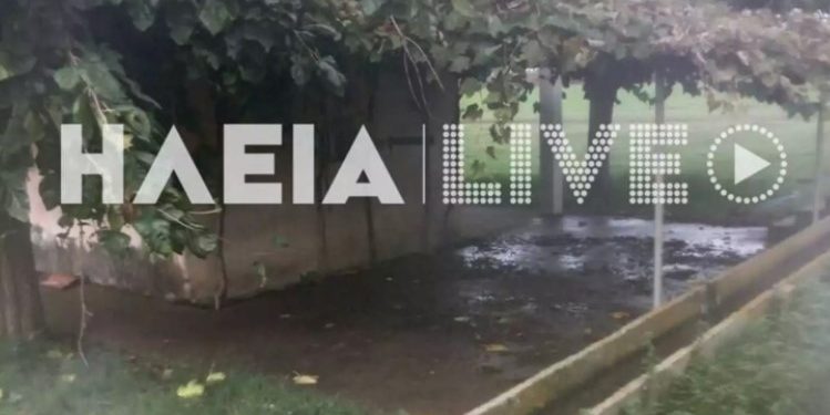 Alldaynews.gr Θρίλερ στην Ηλεία: Ποδηλάτης βρέθηκε νεκρός 1,5 χιλιόμετρο μακριά από το σημείο που τον παρέσυρε φορτηγό