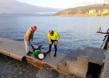 Αυτοκίνητο τον πέταξε στη θάλασσα ενώ έτρεχε στην άκρη του δρόμου – Διασωληνώθηκε ο άτυχος άνδρας (φωτο)