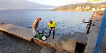 Αυτοκίνητο τον πέταξε στη θάλασσα ενώ έτρεχε στην άκρη του δρόμου – Διασωληνώθηκε ο άτυχος άνδρας (φωτο)