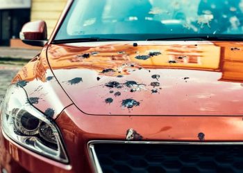 Ποιο χρώμα αυτοκινήτου προτιμούν τα πουλιά για να κάνουν τη δουλειά τους;