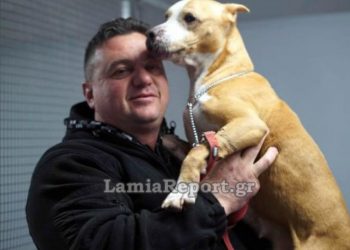 Λαμία: Κινδύνεψε να πνιγεί στις πλημμύρες για να σώσει τα σκυλάκια[video]