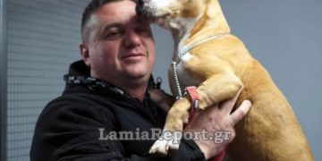 Λαμία: Κινδύνεψε να πνιγεί στις πλημμύρες για να σώσει τα σκυλάκια[video]