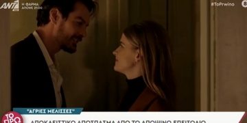 Alldaynews.gr Άγριες Μέλισσες spoiler Δευτέρας 6 Δεκεμβρίου: Τι θα δούμε στο επεισόδιο της Δευτέρας (video)