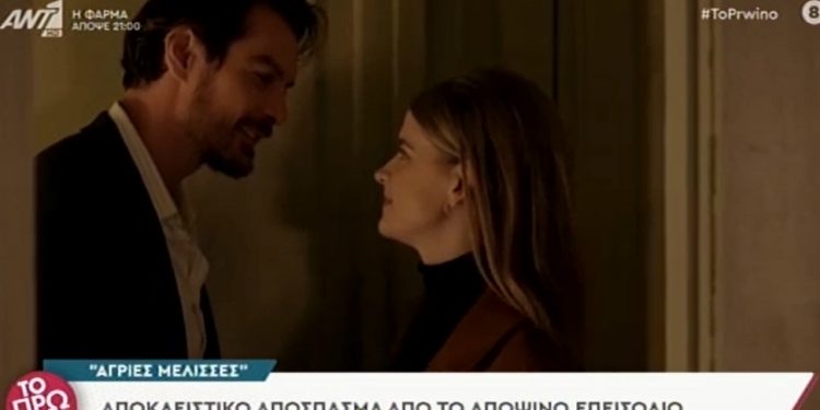 Alldaynews.gr Άγριες Μέλισσες spoiler Δευτέρας 6 Δεκεμβρίου: Τι θα δούμε στο επεισόδιο της Δευτέρας (video)