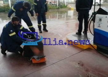 Alldaynews.gr Περίμενε τραυματισμένος και πεσμένος στο δρόμο ασθενοφόρο επί μία ολόκληρη ώρα! (φωτο, video)