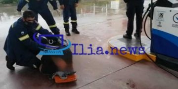Alldaynews.gr Περίμενε τραυματισμένος και πεσμένος στο δρόμο ασθενοφόρο επί μία ολόκληρη ώρα! (φωτο, video)