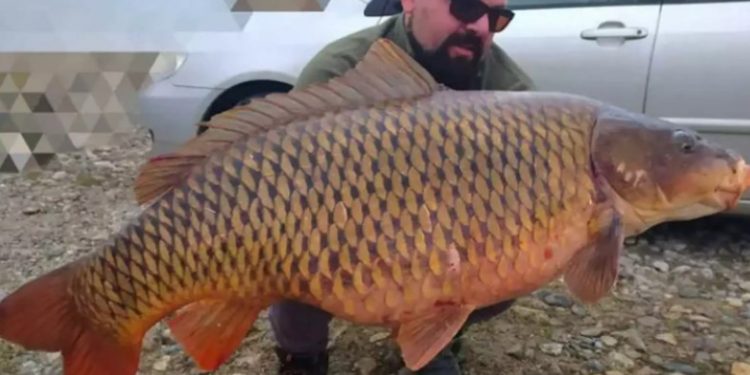 Alldaynews.gr Κοζάνη: Πήγε για ψάρεμα και έβγαλε ”Τέρας”