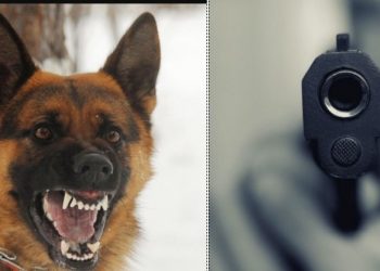 Τραγικός θάνατος για 23χρονο: Τον σκότωσε ο πατέρας του μετά από δάγκωμα σκύλου