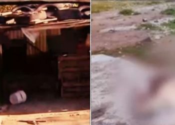 Φρίκη στη Θεσσαλονίκη: Σκότωσαν σκύλο πολτοποιώντας το κεφάλι του