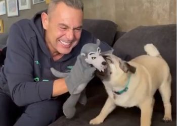 Πάνος Καμμένος: Παίζει με τον σκύλο του και να κοροϊδεύει τον Γιώργο Παπανδρέου[video]