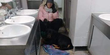 Alldaynews.gr Βόλος: Ταξίδι – εφιάλτης στην τουαλέτα πλοίου για πέντε ώρες λόγω… σκύλου!