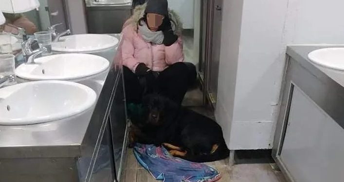 Alldaynews.gr Βόλος: Ταξίδι – εφιάλτης στην τουαλέτα πλοίου για πέντε ώρες λόγω… σκύλου!