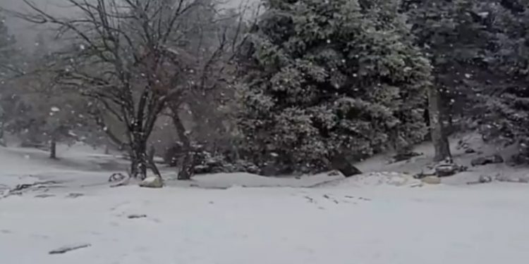 Alldaynews.gr Κακοκαιρία «Ελπίς»: Χιονίζει σε Πάρνηθα, Πεντέλη και Υμηττό