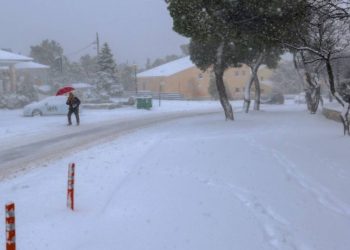 Συγκλονιστικό: Νεκρή γυναίκα στην Ανθούσα-Δεν μπορεί να την προσεγγίσει κανείς