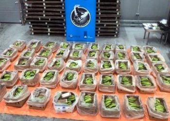 Ολλανδία: Φορτίο με πάνω από 4 τόνους κοκαΐνης κατασχέθηκε στο Ρότερνταμ