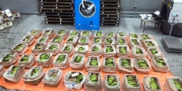 Alldaynews.gr Ολλανδία: Φορτίο με πάνω από 4 τόνους κοκαΐνης κατασχέθηκε στο Ρότερνταμ