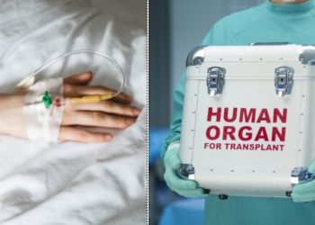 Μεγαλείο ψυχής από τους γονείς της 25χρονης Στέλλας: Δωρίζουν τα όργανά της και δίνουν ζωή σε 4 ανθρώπους- Η ανάρτηση