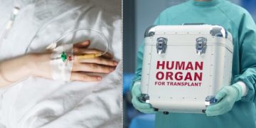 Alldaynews.gr Μεγαλείο ψυχής από τους γονείς της 25χρονης Στέλλας: Δωρίζουν τα όργανά της και δίνουν ζωή σε 4 ανθρώπους- Η ανάρτηση