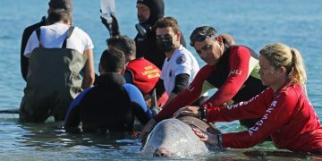 Alldaynews.gr Σωτήρη