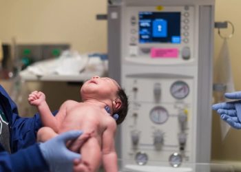 Γέννησε και έδωσε το παιδί για υιοθεσία γιατί ο δότης σπέρματος είχε πει ψέματα για την καταγωγή του