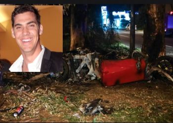 Τζώρτζης Μονογυιός-Τραγικό: Τι είχε γίνει στον ευκάλυπτο που ξεψύχησε[video]