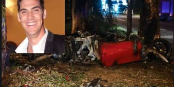 Τζώρτζης Μονογυιός-Τραγικό: Τι είχε γίνει στον ευκάλυπτο που ξεψύχησε[video]