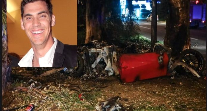 Τζώρτζης Μονογυιός-Τραγικό: Τι είχε γίνει στον ευκάλυπτο που ξεψύχησε[video]