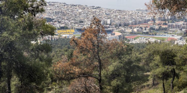 Alldaynews.gr Θεσσαλονίκη: Από που μπορεί να προέρχεται ο απόκοσμος ήχος – Συνεχίζεται το θρίλερ (vids)