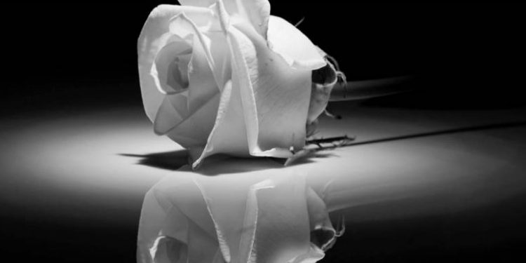 Alldaynews.gr Τζωρτζίνα