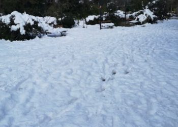 Alldaynews.gr Τραγωδία: Νεκρός 65χρονος στην προσπάθειά του να καθαρίσει το σπίτι του από τα χιόνια