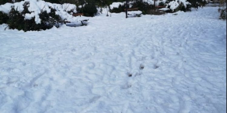 Alldaynews.gr Τραγωδία: Νεκρός 65χρονος στην προσπάθειά του να καθαρίσει το σπίτι του από τα χιόνια